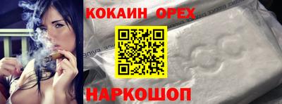 гидропоника Гатчина