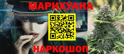 гидропоника Гатчина