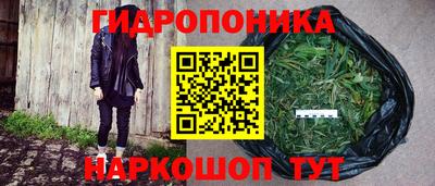 гидропоника Гатчина