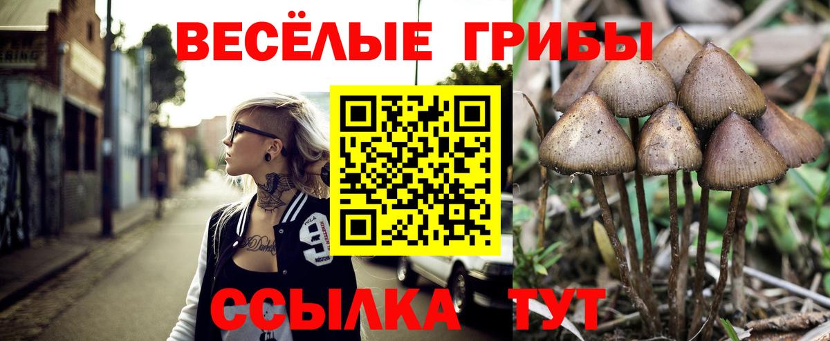 Псилоцибиновые грибы мухоморы Гатчина