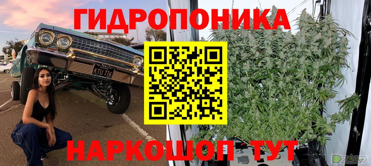 Канабис планчик  Вход с VPN  Гатчина  Марихуана конопля  Бошки марихуана AK-47 